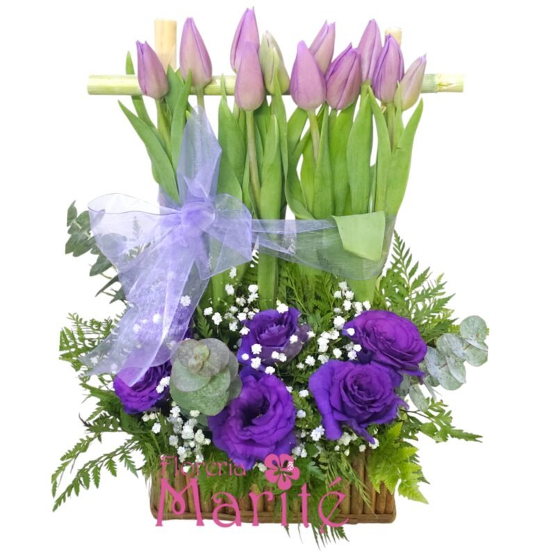 WhatsApp Image 2024-10-14 at 12.46.42